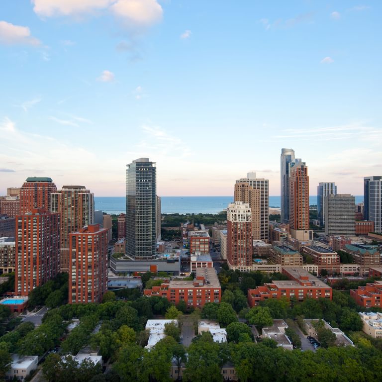 1000 S Clark Neighborhood 1