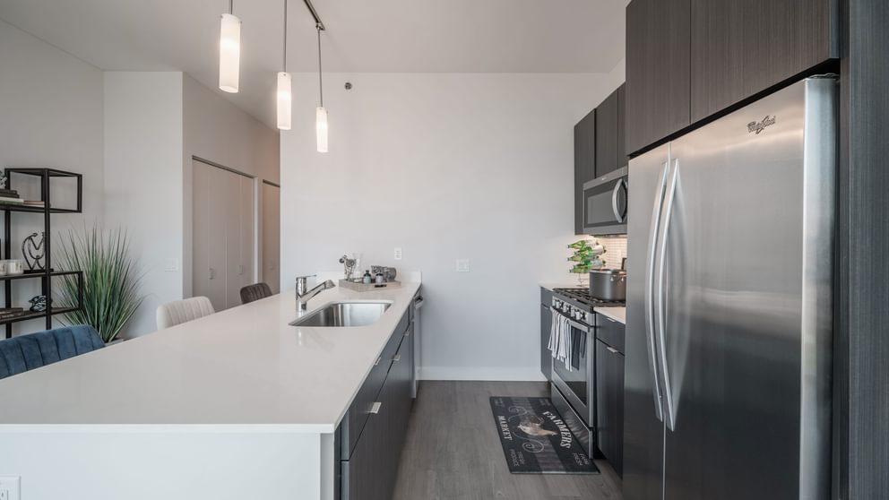 1000 S Clark Kitchen 1